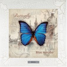 Blue morpho картина бабочки на керамике в деревянной рамке